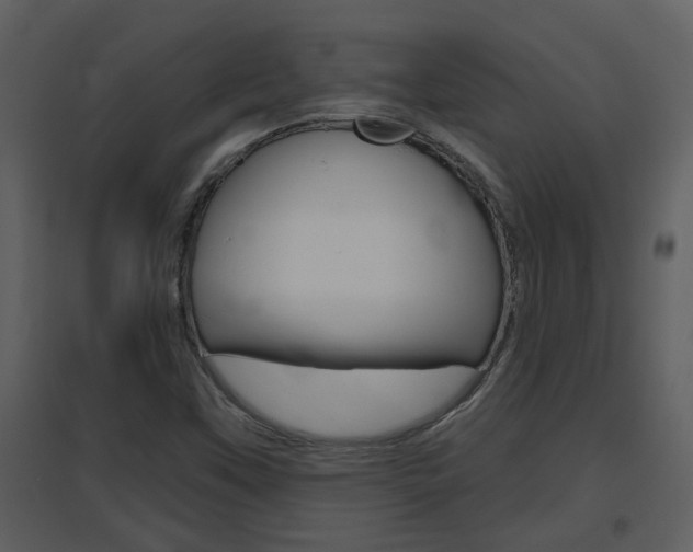 X0000094791451200711160905