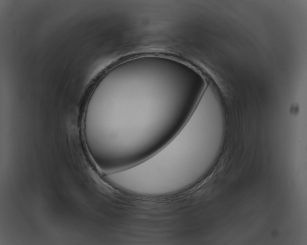 X0000094791452200711160905