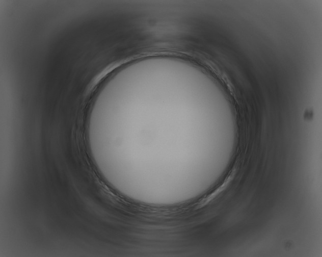 X0000094791453200711160905