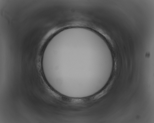 X0000094791454200711160905