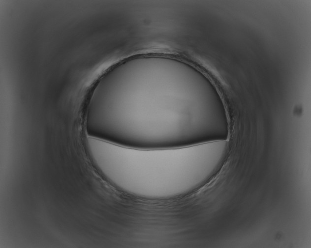 X0000094791455200711160905