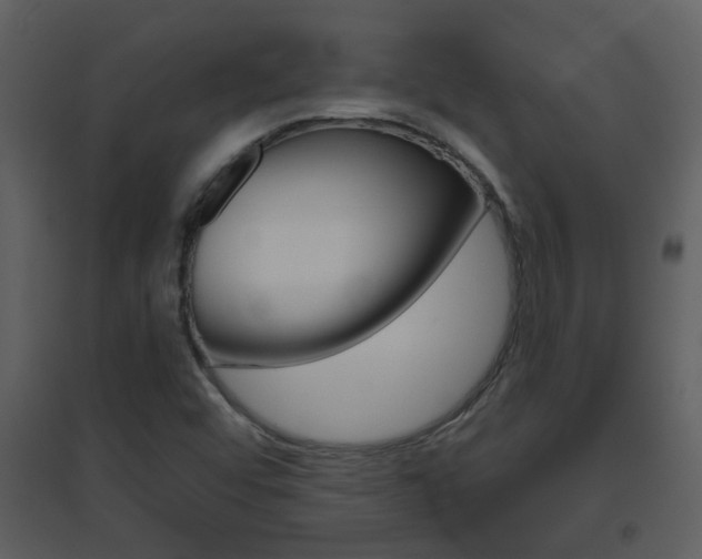 X0000094791456200711160905