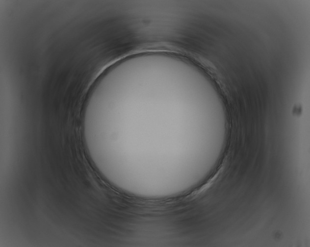 X0000094791457200711160905