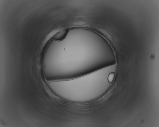 X0000094791458200711160905