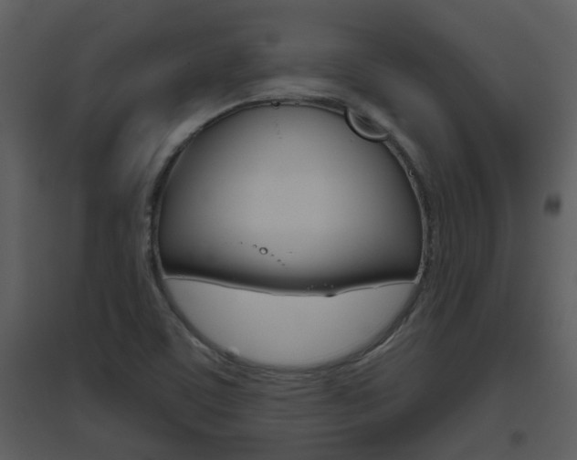 X0000094791459200711160905