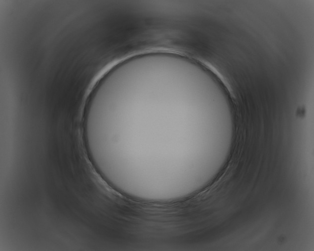 X0000094791460200711160905