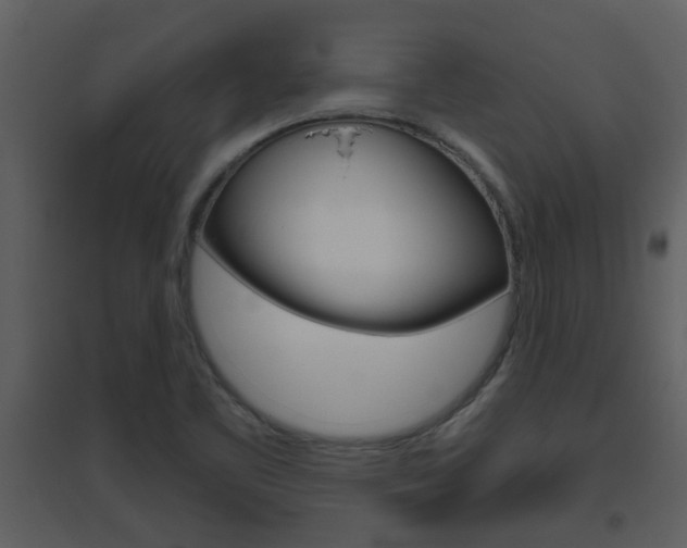 X0000094791461200711160905