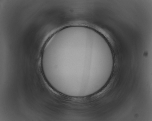 X0000094791462200711160905