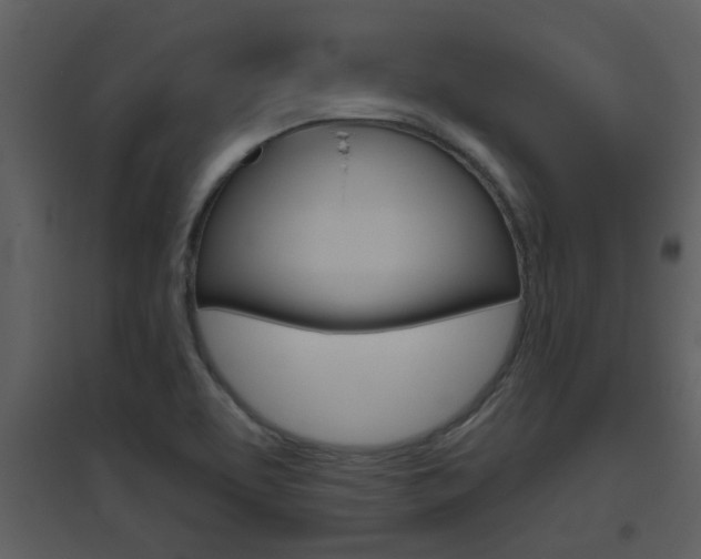 X0000094791463200711160905
