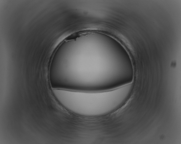 X0000094791465200711160905