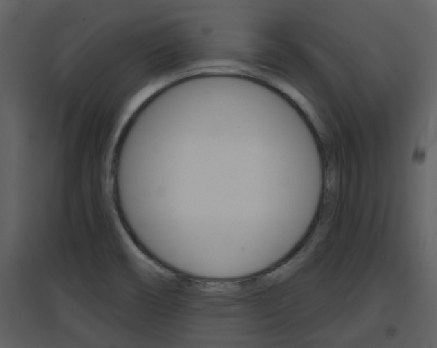 X0000094791466200711160905