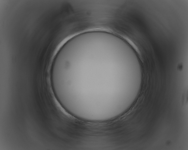 X0000094791468200711160905
