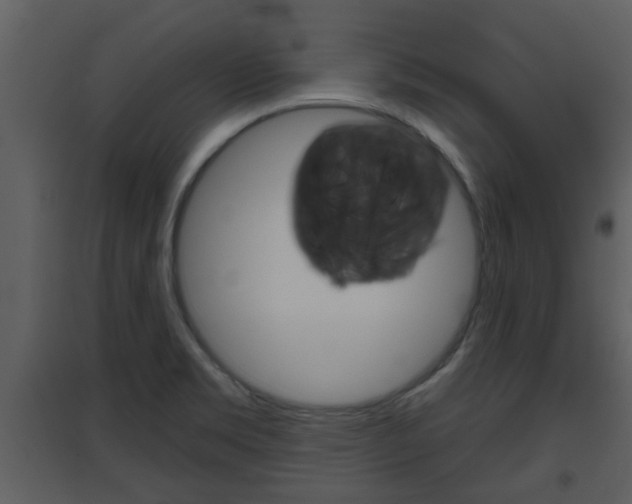 X0000094791469200711160904