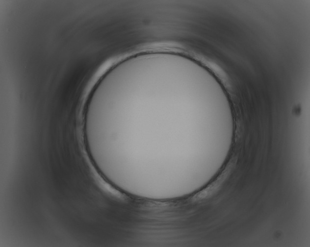 X0000094791470200711160904