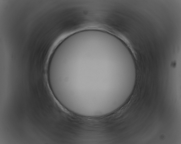 X0000094791472200711160904