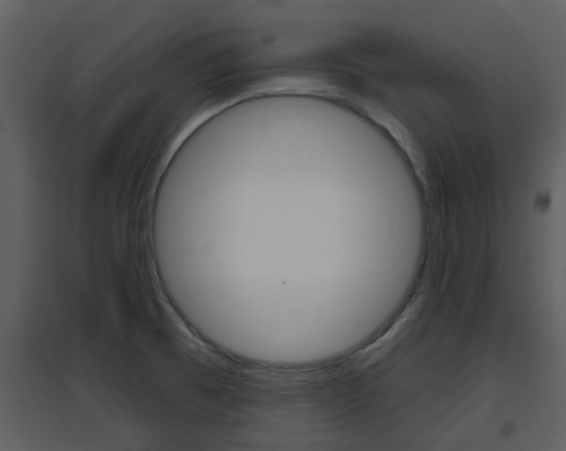 X0000094791473200711160904