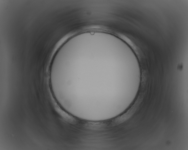 X0000094791474200711160904