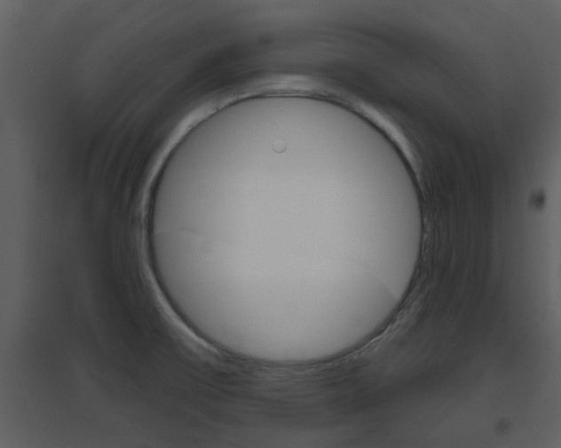 X0000094791475200711160904