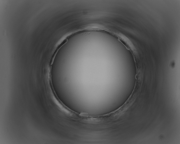 X0000094791476200711160904