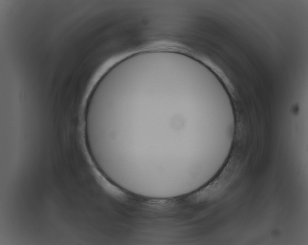 X0000094791478200711160904