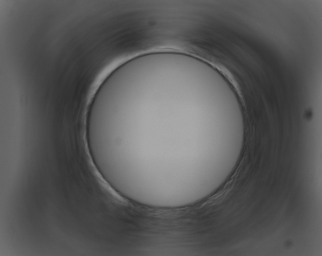 X0000094791480200711160904