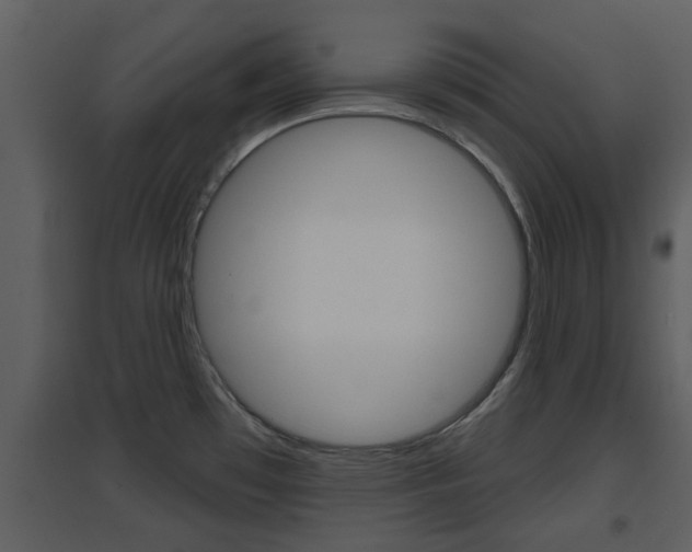 X0000094791481200711160904