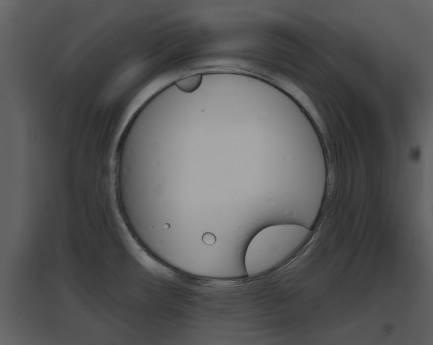 X0000094791482200711160904