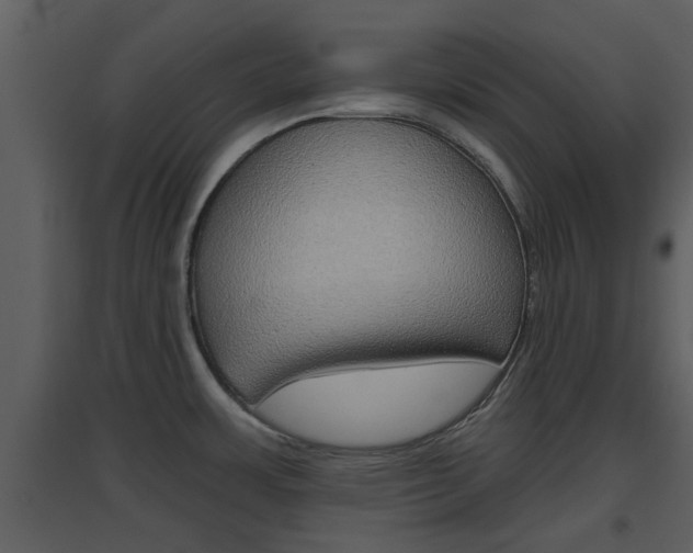 X0000094791483200711160904