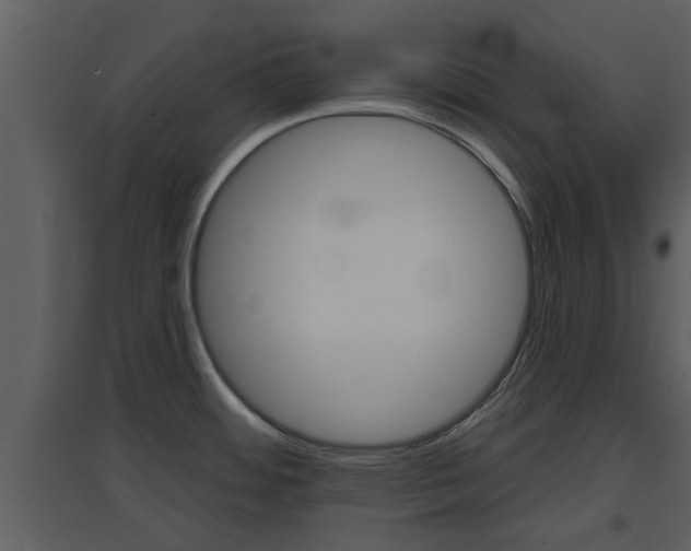 X0000094791484200711160904