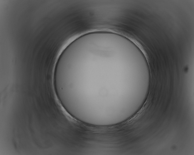 X0000094791485200711160904