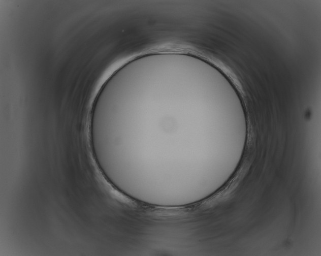 X0000094791486200711160904