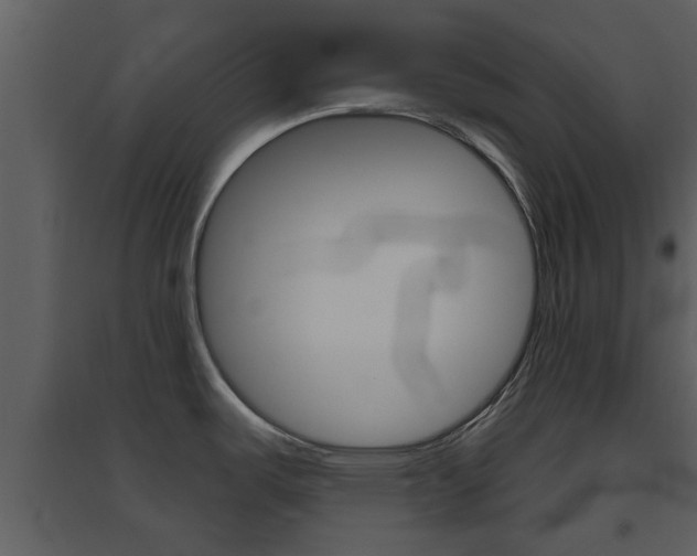 X0000094791487200711160904