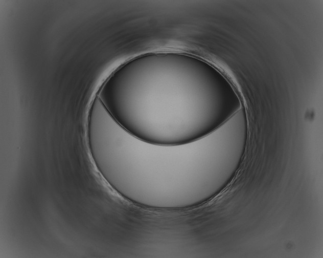 X0000094791488200711160904