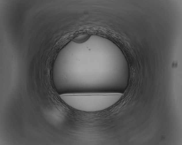 X0000094791489200711160904