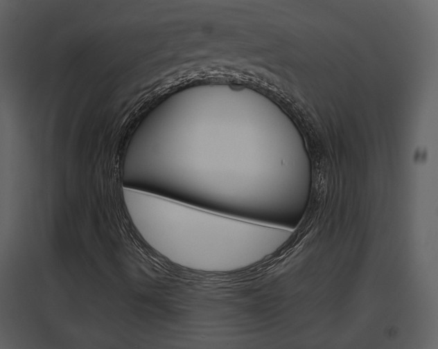 X0000094791490200711160904