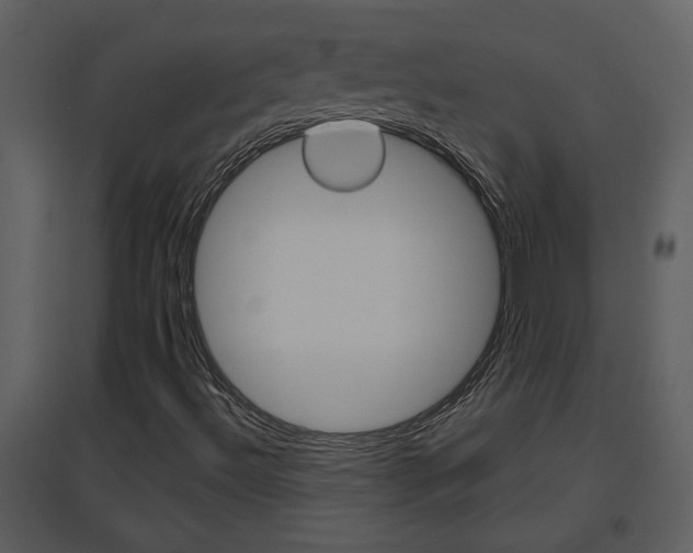 X0000094791492200711160904
