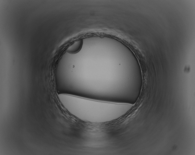 X0000094791494200711160904