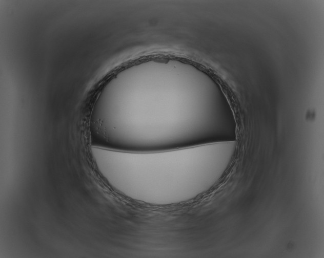 X0000094791496200711160904
