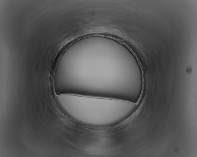 X0000094791497200711160904
