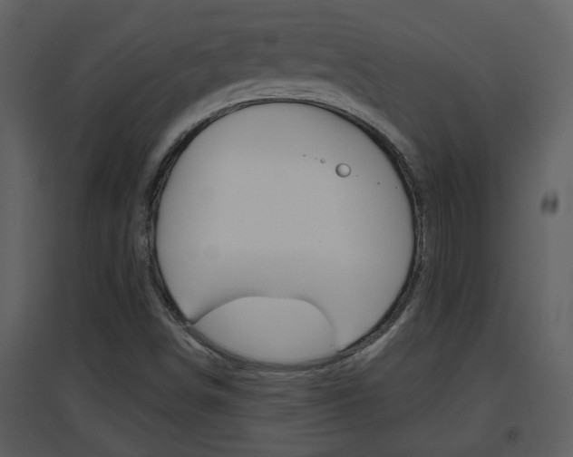 X0000094791498200711160904