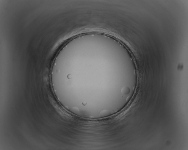 X0000094791499200711160904