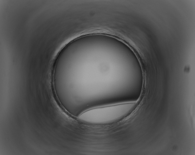 X0000094791500200711160904