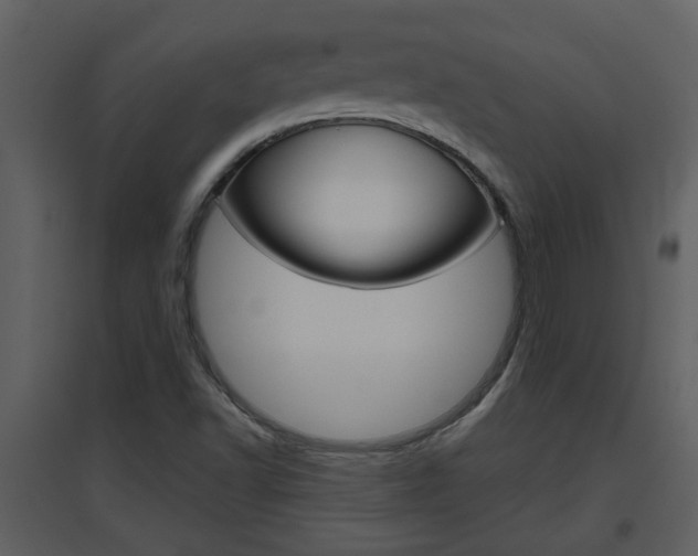 X0000094791502200711160904
