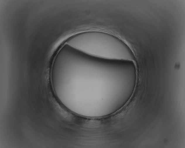 X0000094791503200711160904