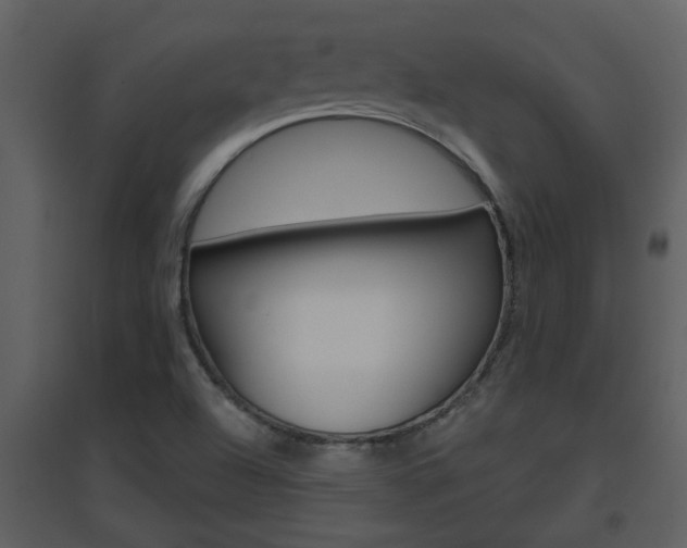 X0000094791504200711160904