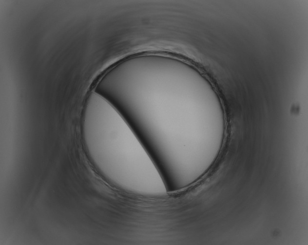 X0000094791505200711160904