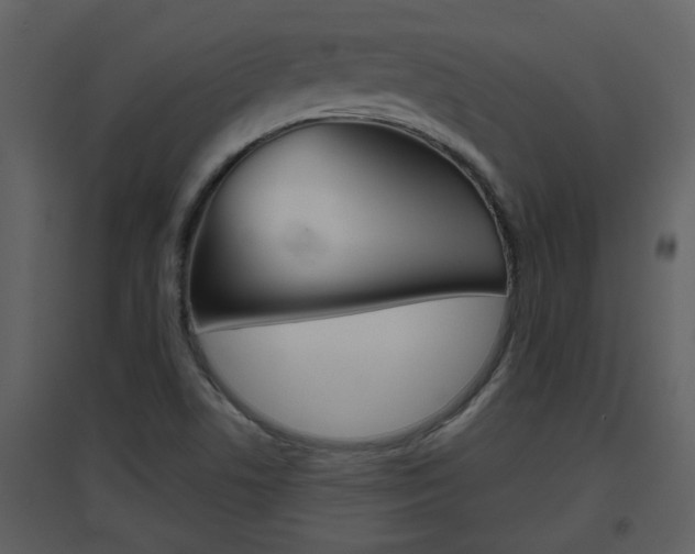 X0000094791506200711160904