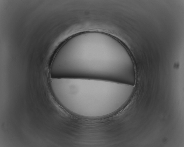 X0000094791507200711160904