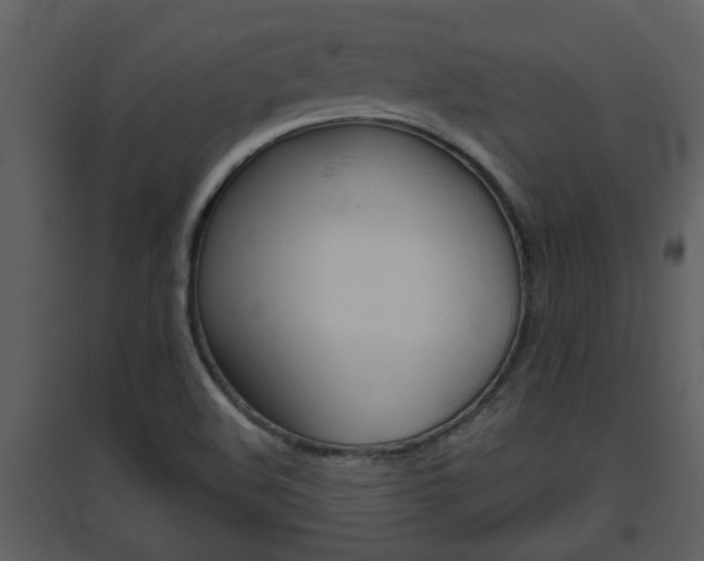 X0000094791508200711160904