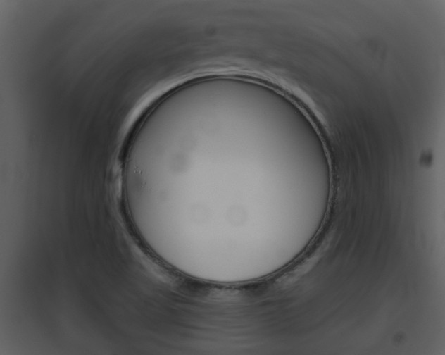X0000094791509200711160904